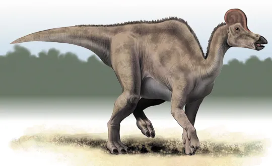 Dinosaurs