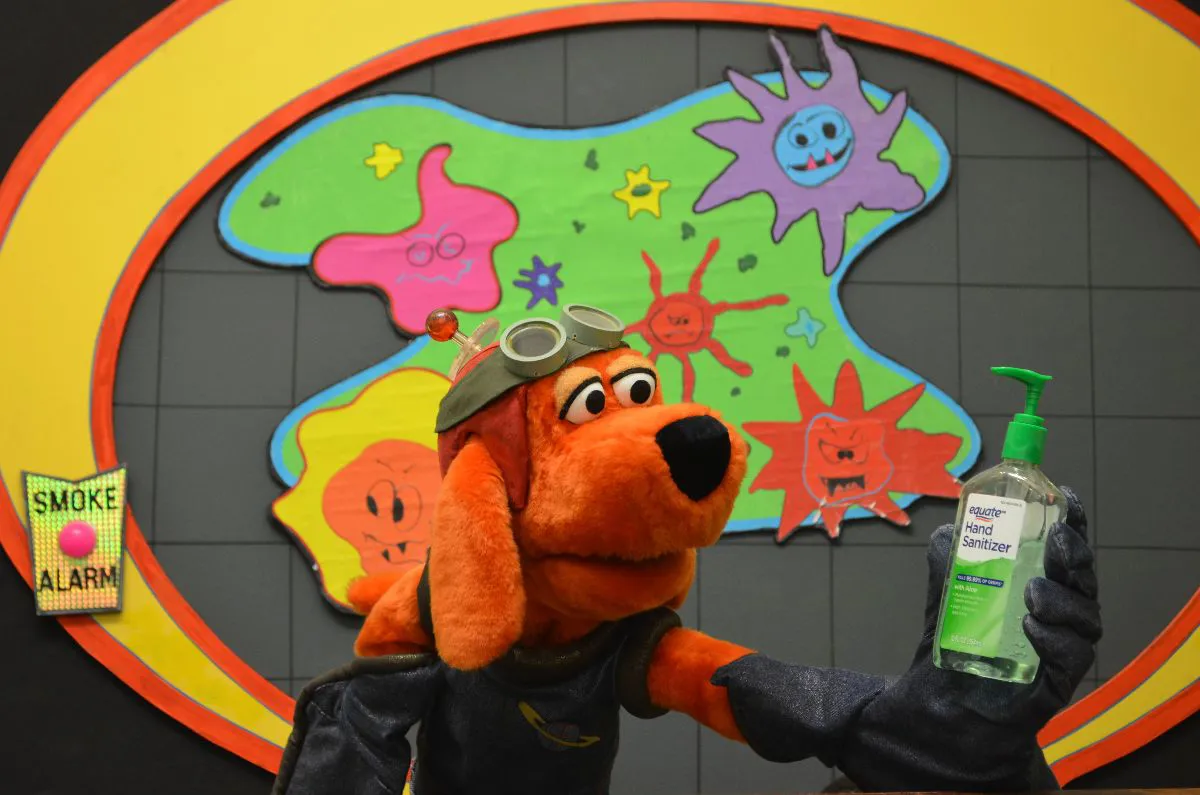 Captain Healthy and Safety Dog